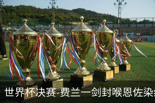 世界杯决赛-费兰一剑封喉恩佐染红 西班牙1-0阿根廷夺冠