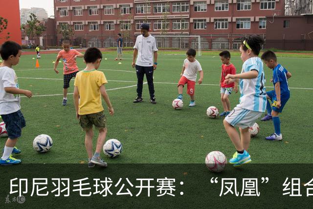 印尼羽毛球公开赛：“凤凰”组合险胜过关 李诗沣无缘八强