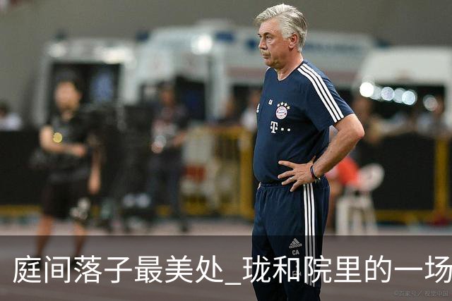 庭间落子最美处 珑和院里的一场围棋雅集