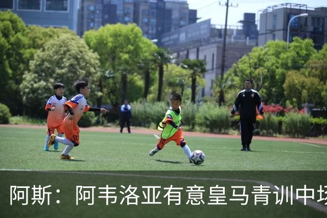 阿斯：阿韦洛亚有意皇马青训中场帕拉西奥斯，要求富勒姆尝试引进